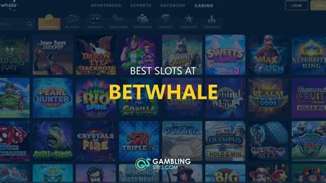 betwhale casino|Betwhale.ag Legit Online Casino .
